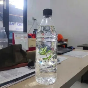 Chai Vuông 1 lít cổ 30
